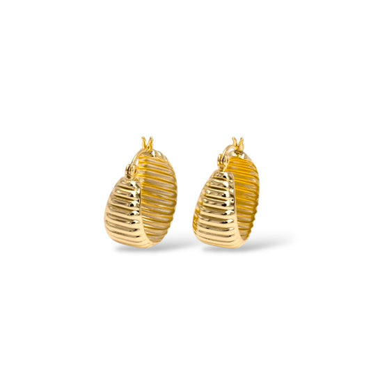 Oli’s Hoops